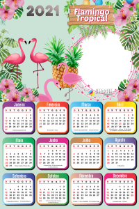 Moldura de Foto Calendário 2021 Flamingo Tropical